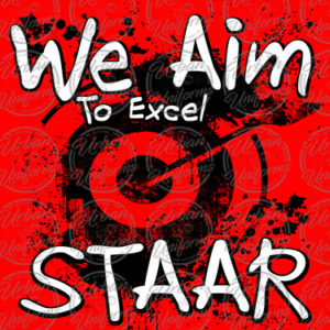 STAAR-014-Aim-Excel