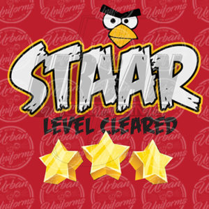 STAAR-040-Angry-Birds