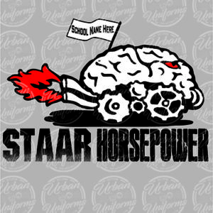 STAAR-042-Staar-Brain